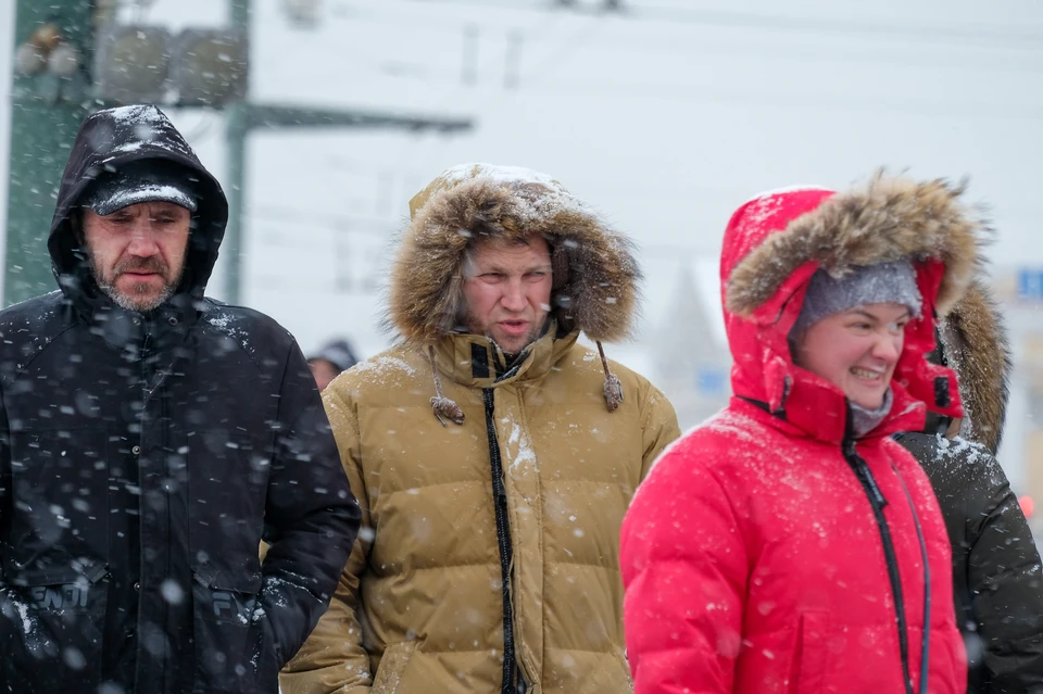 Ночью в Петербурге выпал снег.