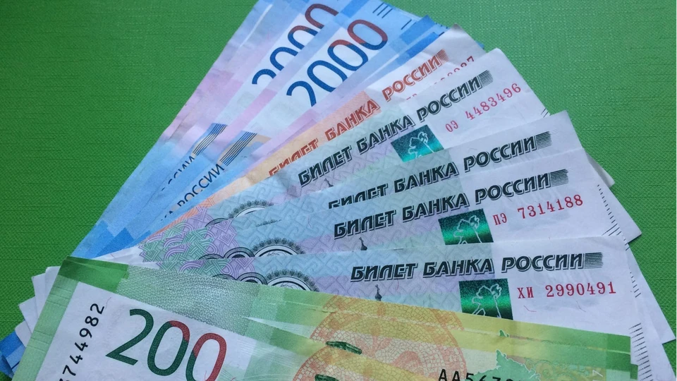 Астраханский ветинспектор заплатит штраф в размере 25 тысяч рублей за служебный подлог