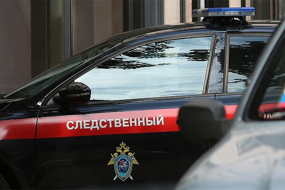 Следком возбудил уголовное дело из-за угроз расправы над журналисткой из Кузбасса