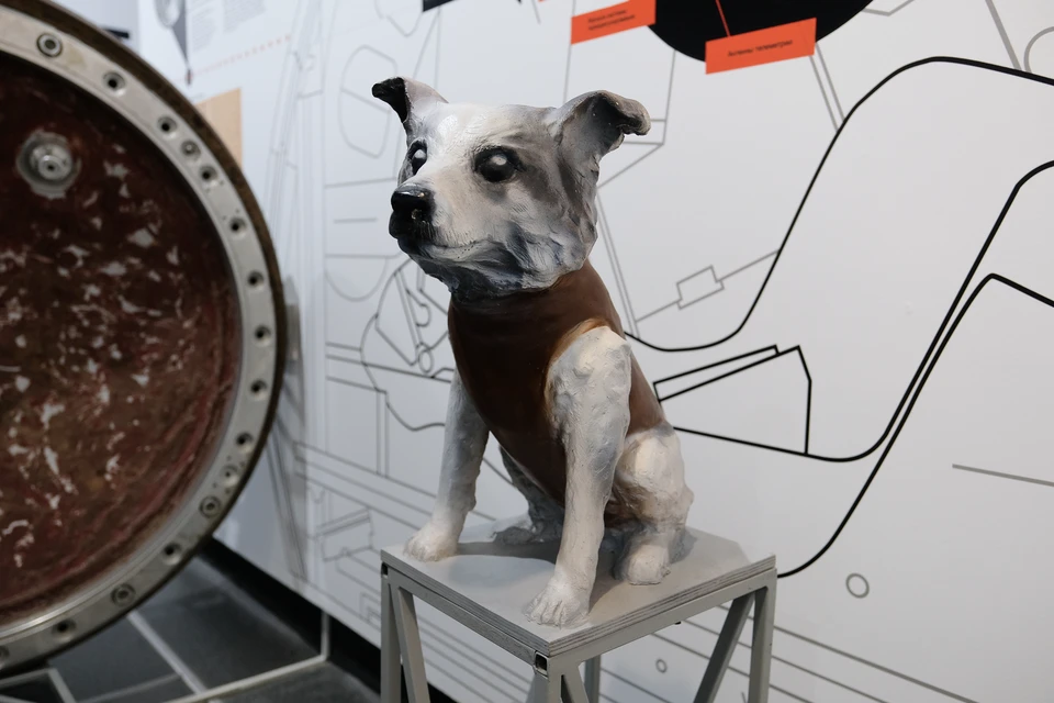 Вот такой милый макет собачки Звездочки стоит в музее в Чайковском.