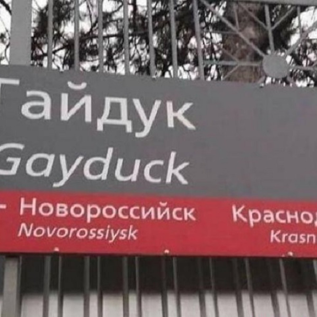 Gayduck: станцию под Новороссийском хотят переименовать из-за  неблагозвучного перевода - KP.RU