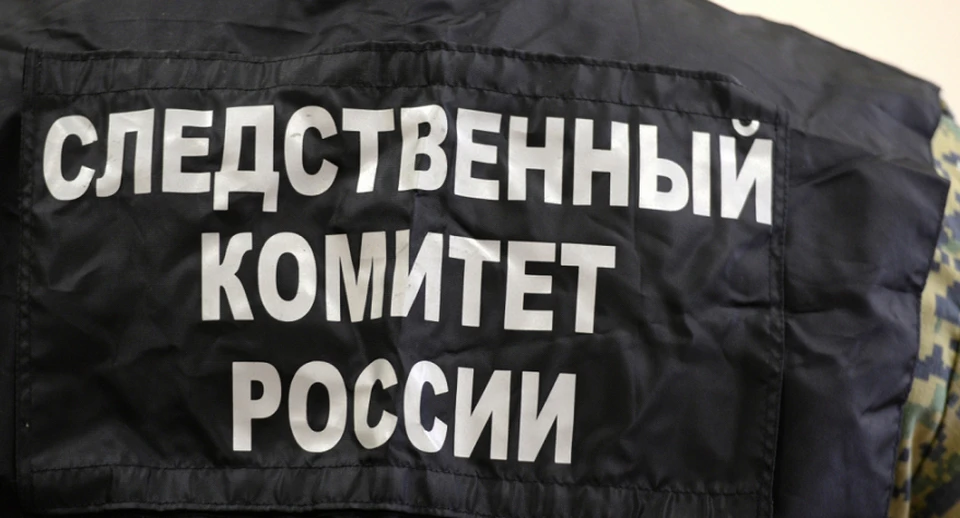 Тело 15-летнего подростка было найдено в декабре 2020 года в Тунгусовском детском доме-интернате Томской области. Сейчас расследуются три уголовных дела по факту смерти ребенка.