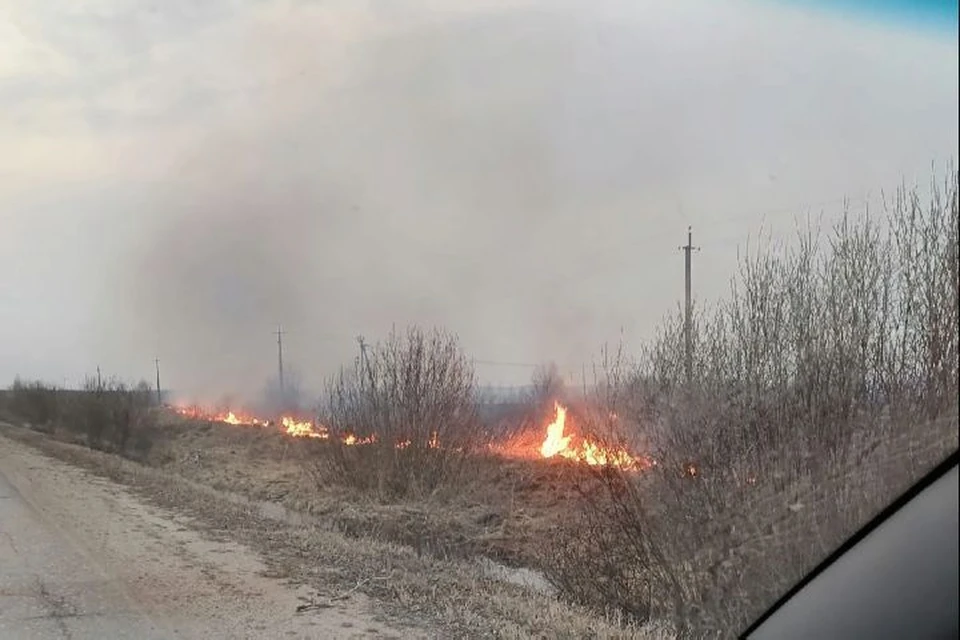 В Ростове горят поля. Фото: Леся Амирова "Подслушано в Ростове Великом"