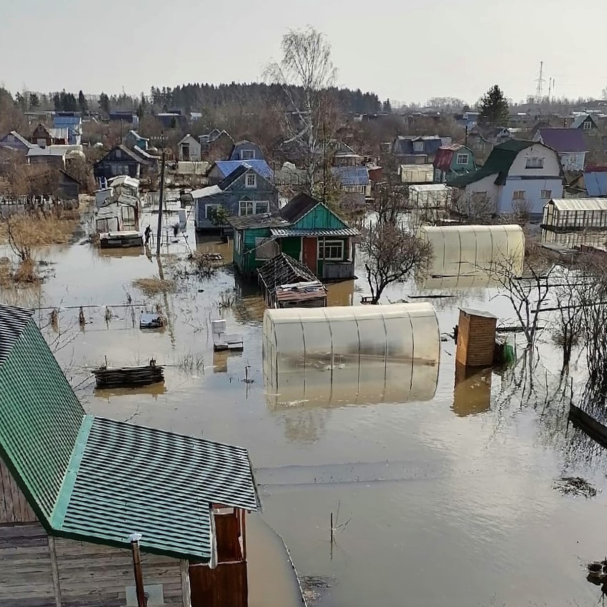 В Екимцево затопило дачи - KP.RU