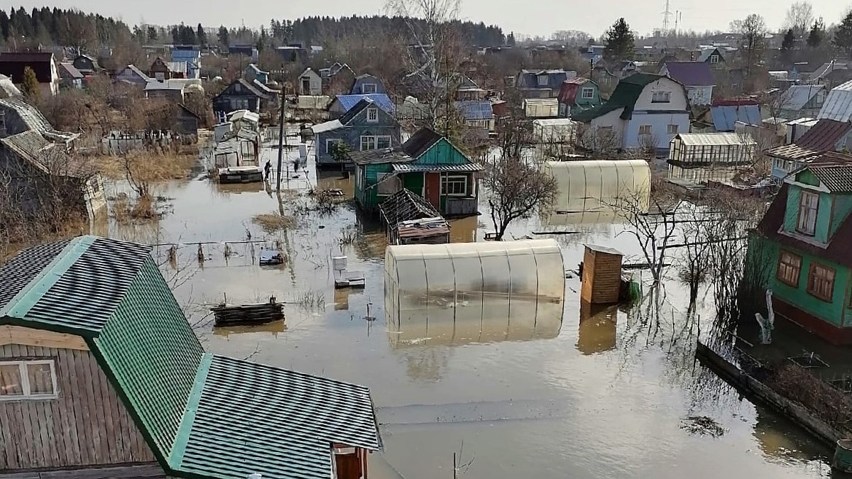 В Екимцево затопило дачи - KP.RU