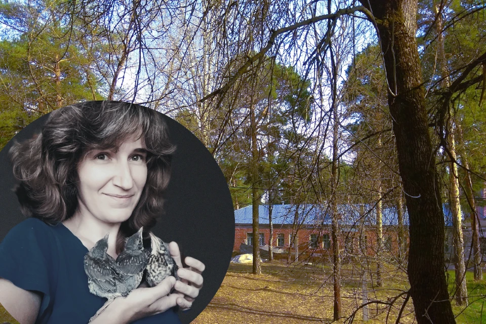 Анастасия Каменская приметила: около Тверской больницы скорой помощи живут особенные птицы. Фото: vk.com/lisoid88