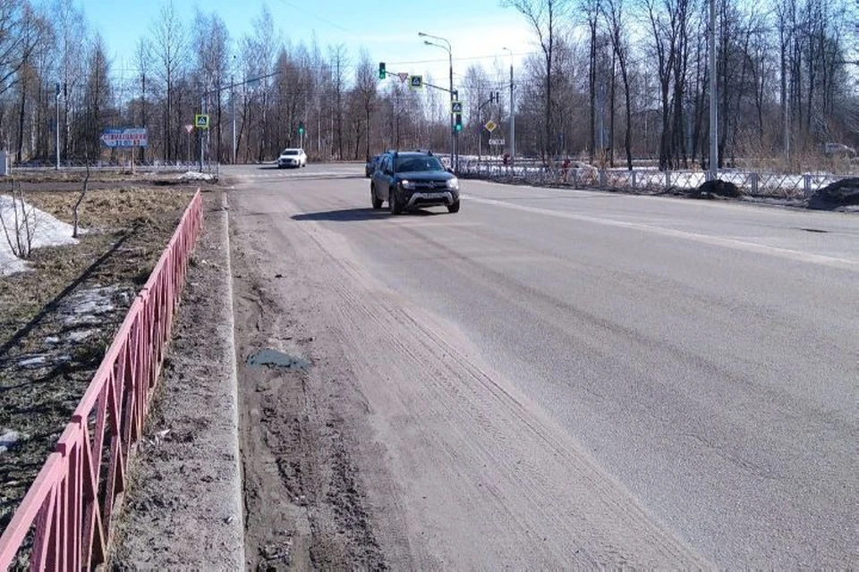 Труп кошки лежит на обочине около 10 дней. ФОТО: Наталья Бурова, группа "Единая диспетчерская служба Ярославля" ВКонтакте