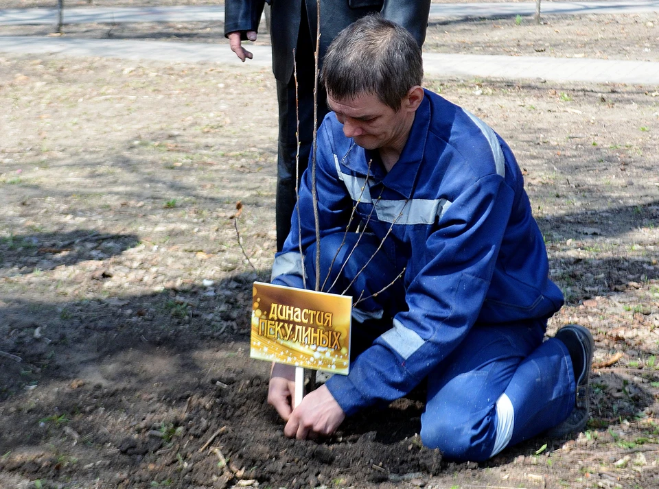 Фото предоставлено управой Ленинского района