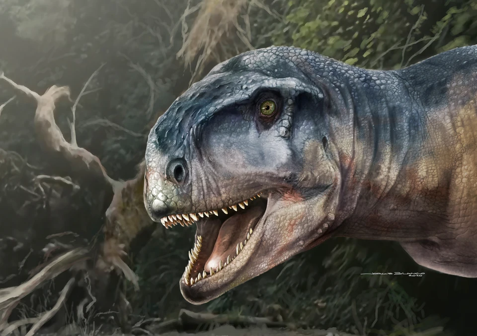 В США опубликовали видео с животным, похожим на динозавра