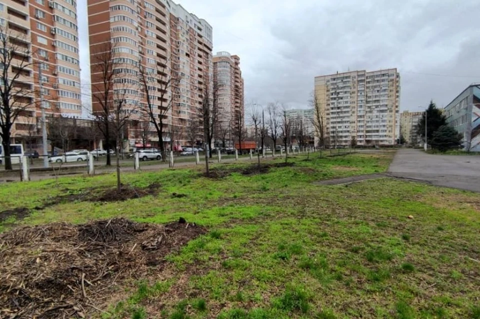 Фото: пресс-служба администрации города