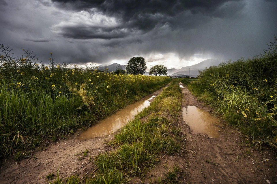 Фото: pexels.com