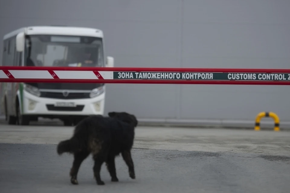 Сотрудника таможни в Сочи подозревают в получении взятки в сумме 30 тыс. рублей