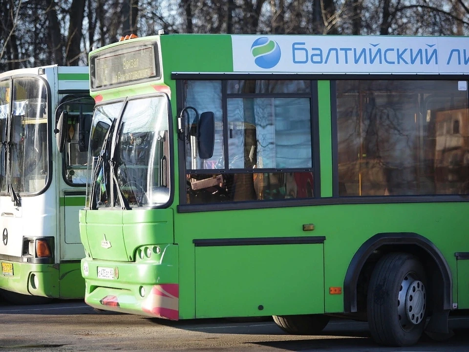 Псковский автобус подвижной состав