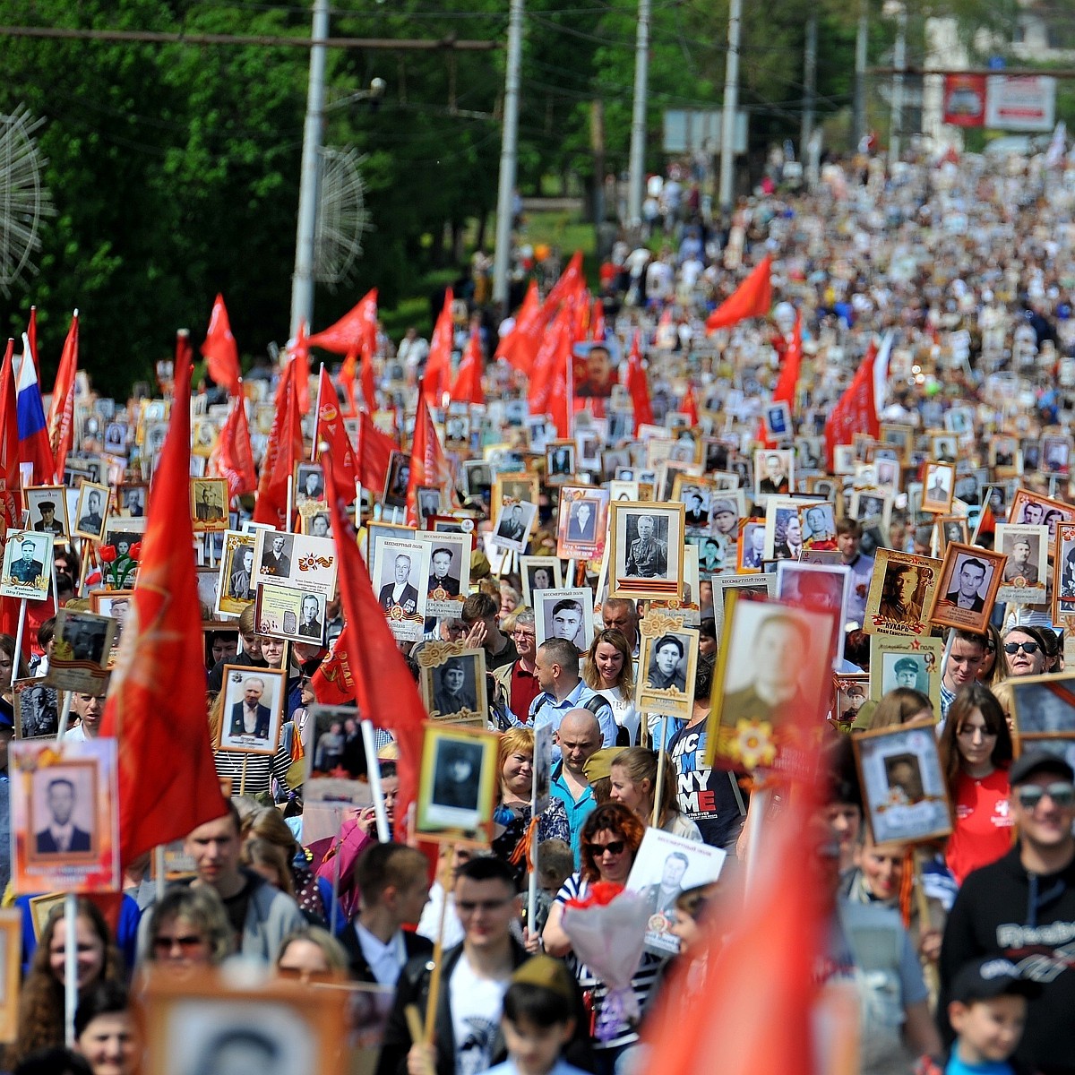 Участники Великой Отечественной в Орловской области: с чего начать поиск  родственника - KP.RU