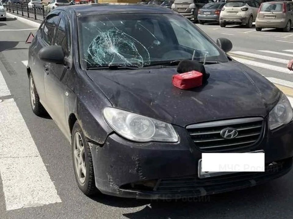 Водитель mitsubishi