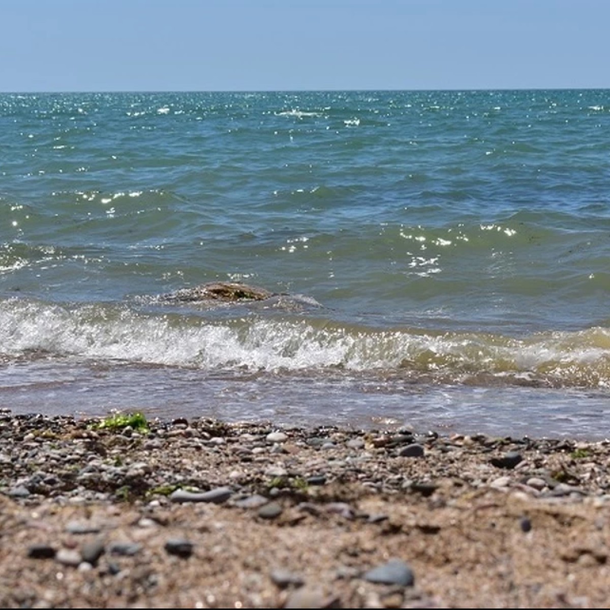 Вода в черном море сочи сегодня