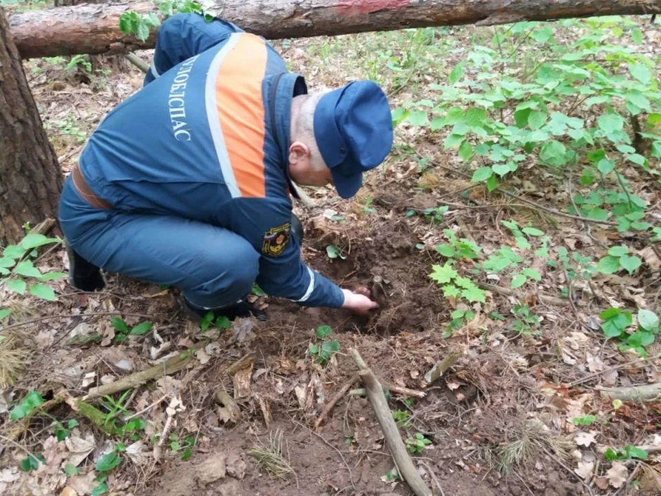 В Тульской области обезврежены боеприпасы Великой Отечественной войны