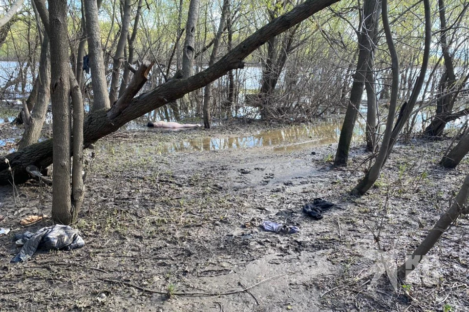 Появилась еще одна версия гибели рязанки, голый труп которой нашли в Лесопарке.