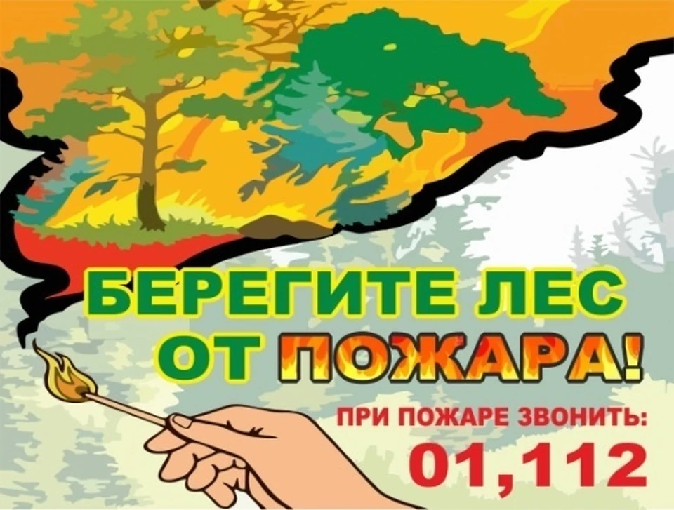 В выходные в Тюмени усилят патрулирование городских лесов. Фото - МКУ «ЛесПаркХоз».