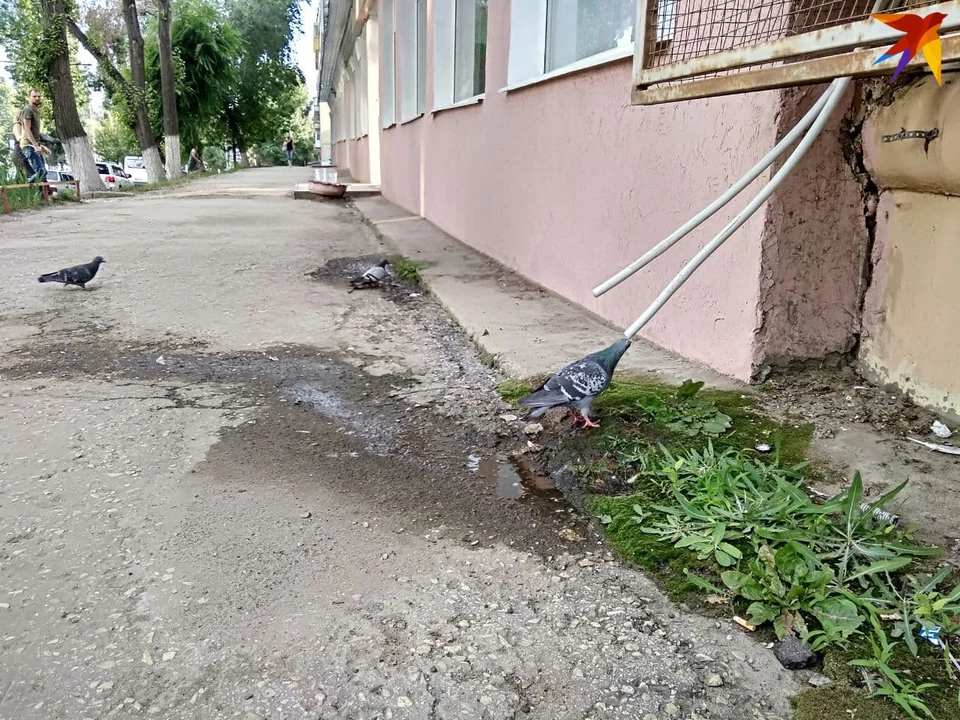 Саратовцев ждет аномальная жара