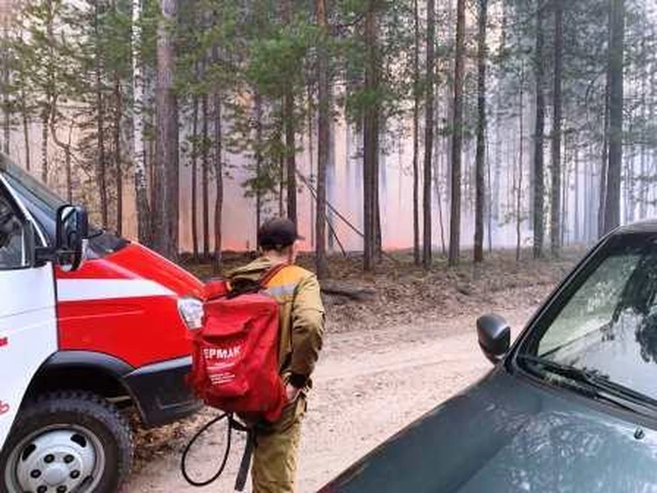 В Тюменском районе локализовали два лесных пожара. Фото - пресс-служба главы Тюменского района.