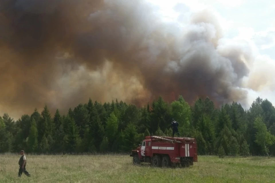 В Удмуртии горит лес. Фото: ГУ МЧС по Удмуртии