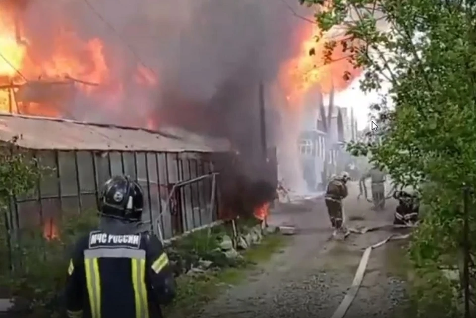 Фото: скриншот с видео
