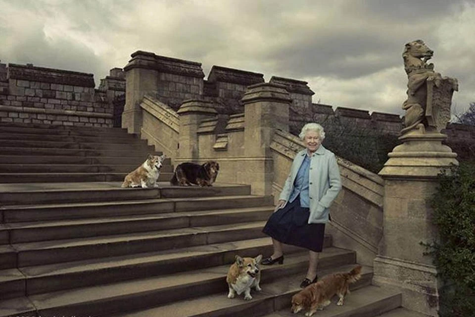Еще в 2015 году Елизавета II объявляла, что больше не планирует заводить собак, поскольку в случае ее смерти не хочет, чтобы питомцы остались без любимой хозяйки.