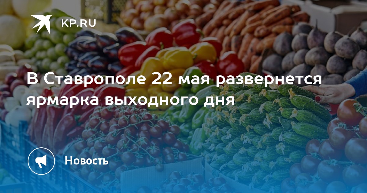 Блокчейн ярмарки выходного дня 2024 в москве