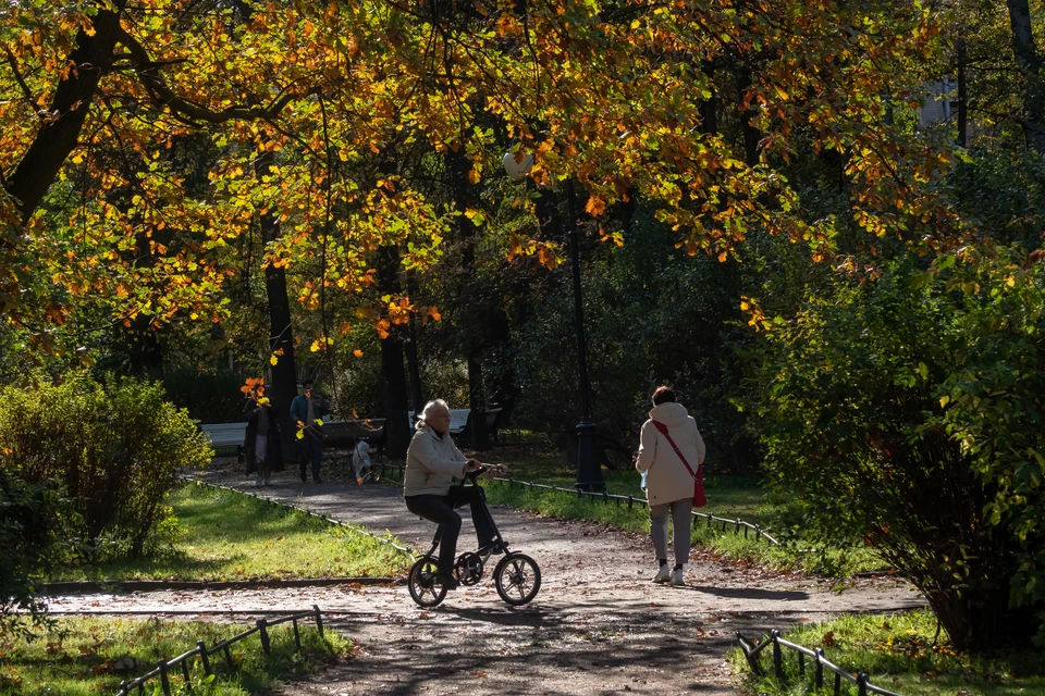 В начале июня в Ленобласти откроют два парка