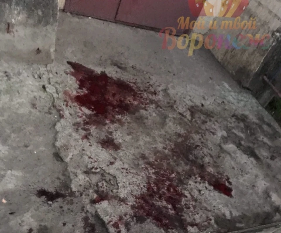 Мой и твой Воронеж