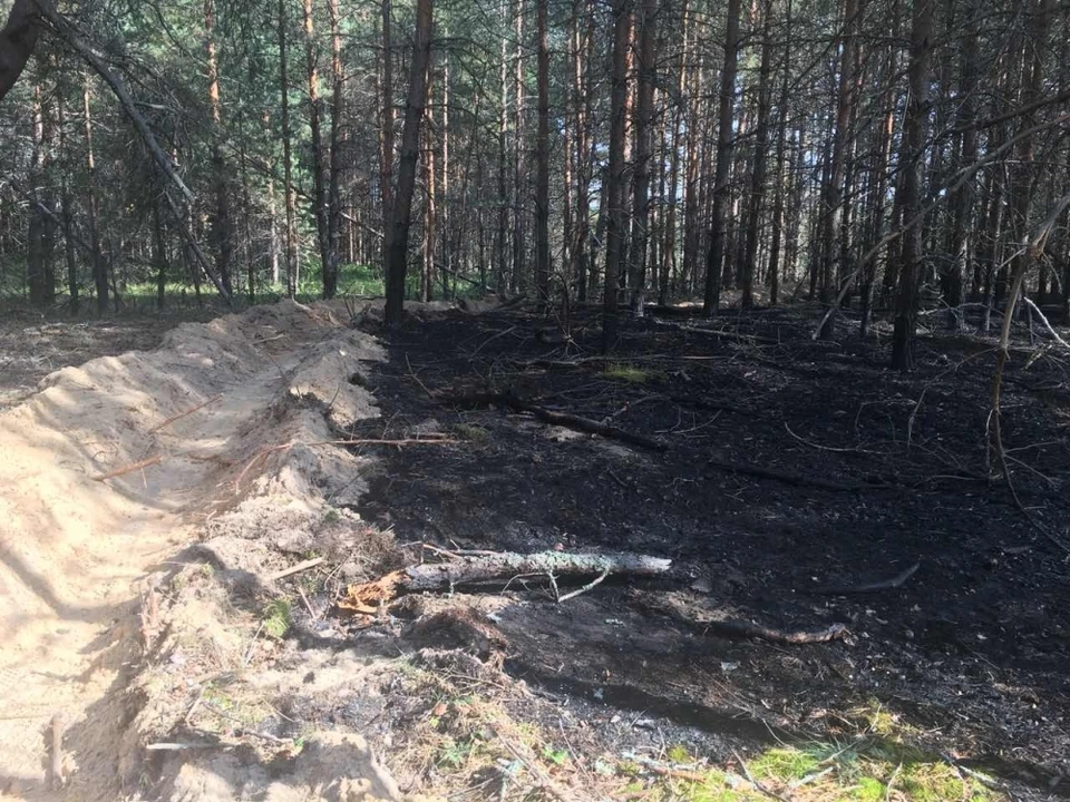 Лесной пожар