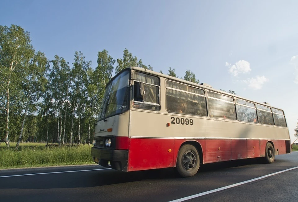 На 44 маршрутах будут работать автобусы трех компаний