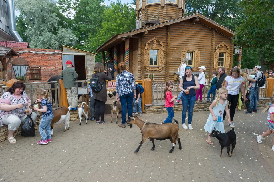 1 июня детей в зоопарк пустят бесплатно.