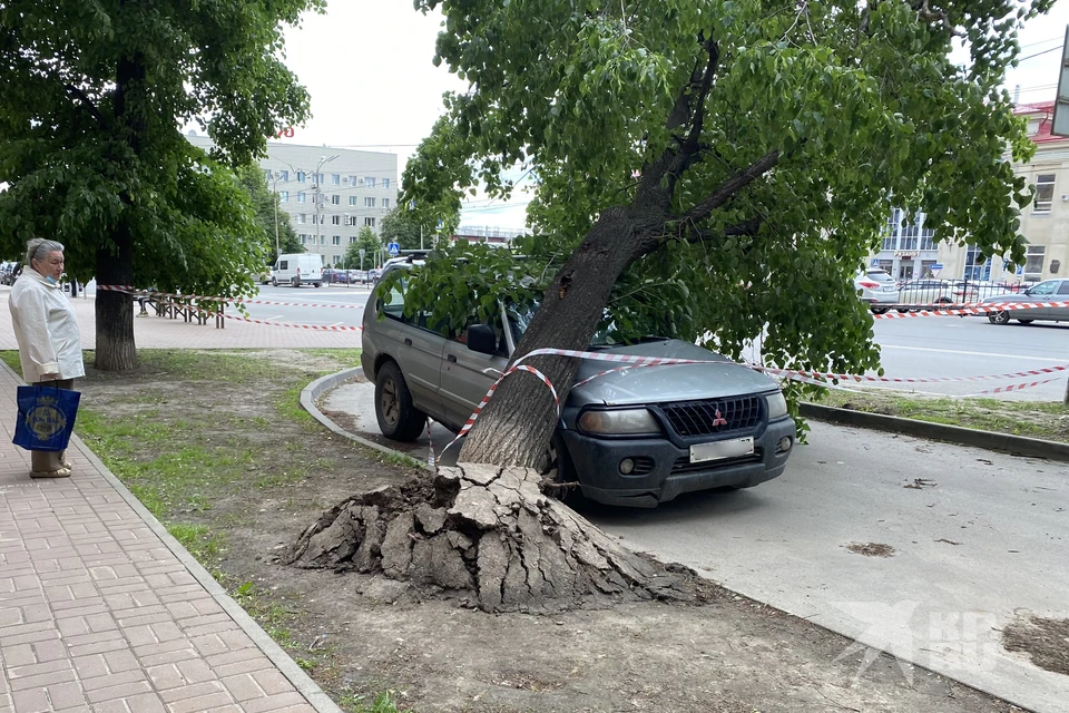 Уже сутки в центре Рязани не могут убрать дерево, рухнувшее на иномарку.
