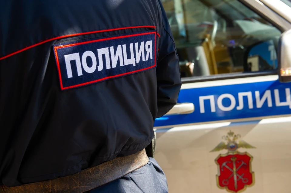 В Ленобласти задержали мужчину, похитившего ребенка.
