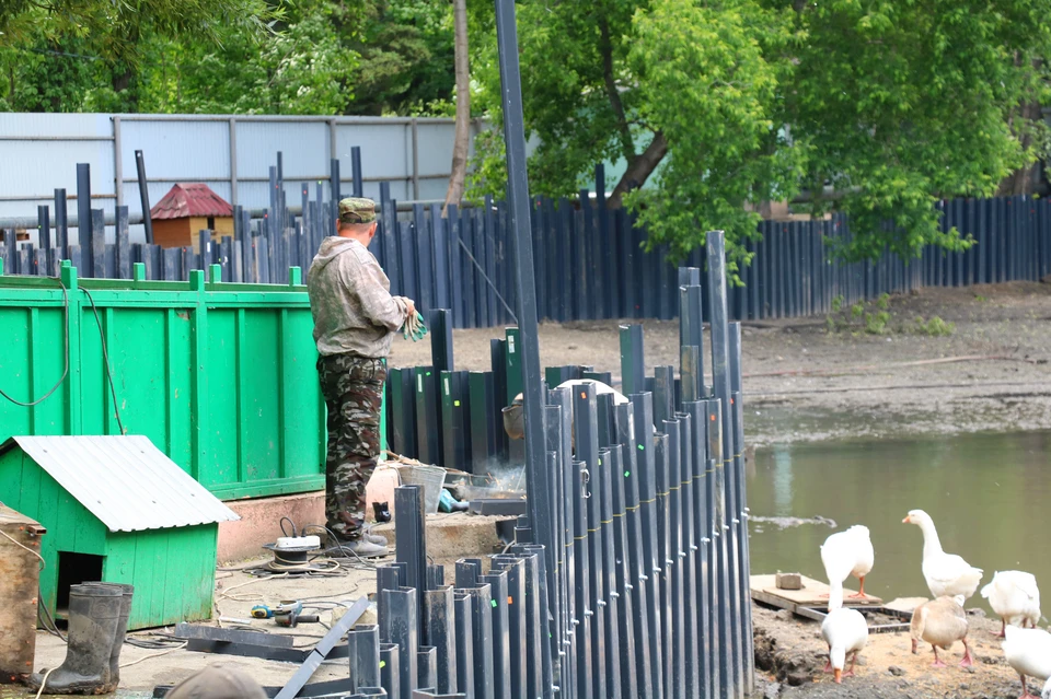 Вокруг пруда в зоопарке появится набережная