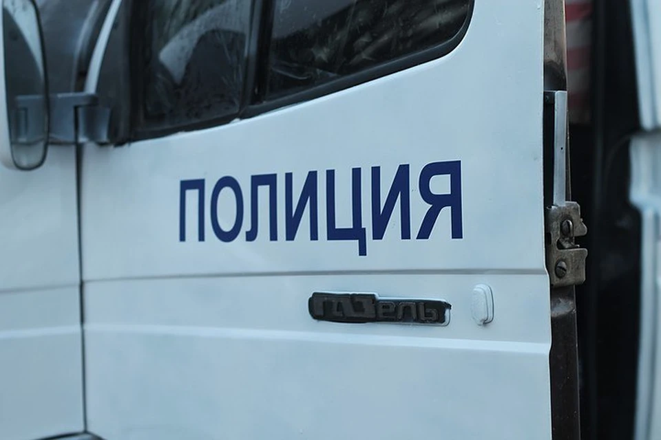 Полицейские задержали двух жителей Усть-Илимского района, ловивших щуку сетями во время нереста