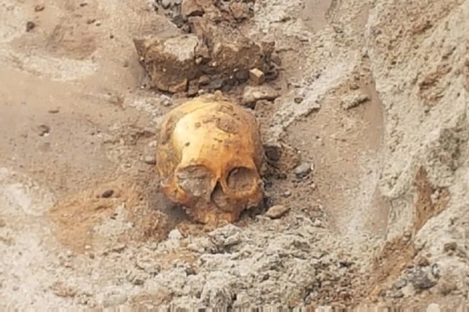 Череп нашли на Волжской набережной. ФОТО: группа "Подслушано в Ярославле" ВКонтакте