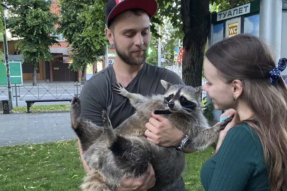 Знакомьтесь, Тема