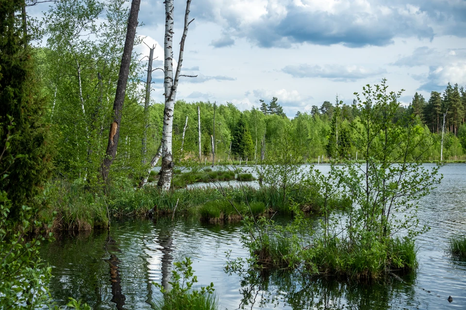 В Новокузнецке водолазы ищут пропавшего мужчину в озере.
