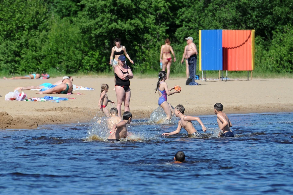 Вода в Финском заливе под Петербургом прогрелась до +20 градусов