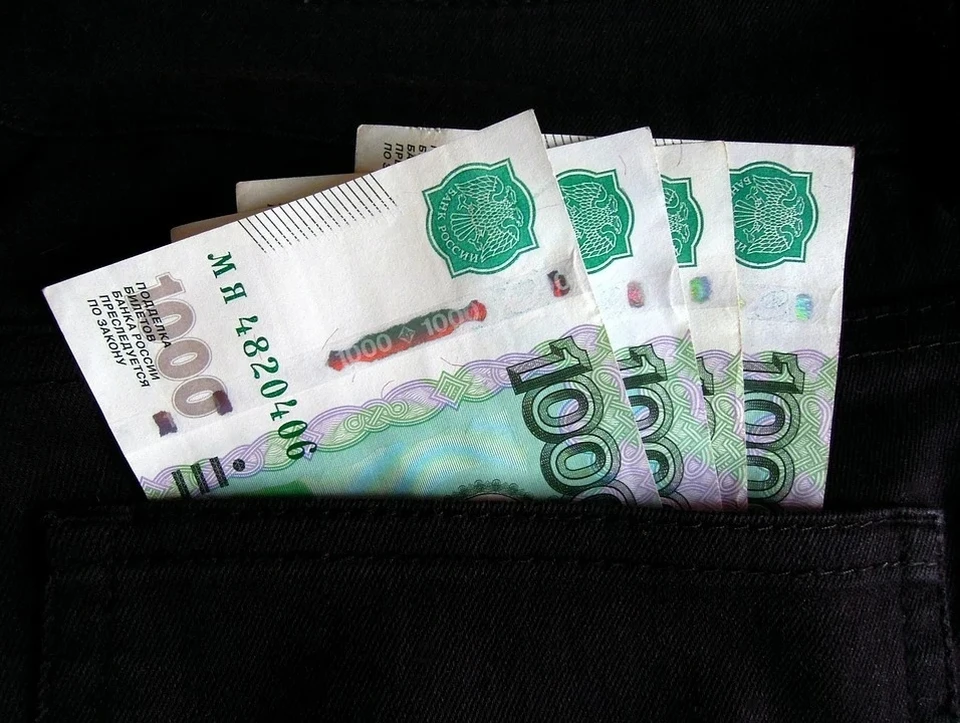 В Астрахани индивидуальный предприниматель не выплатил налогов на сумму более 6,5 млн рублей