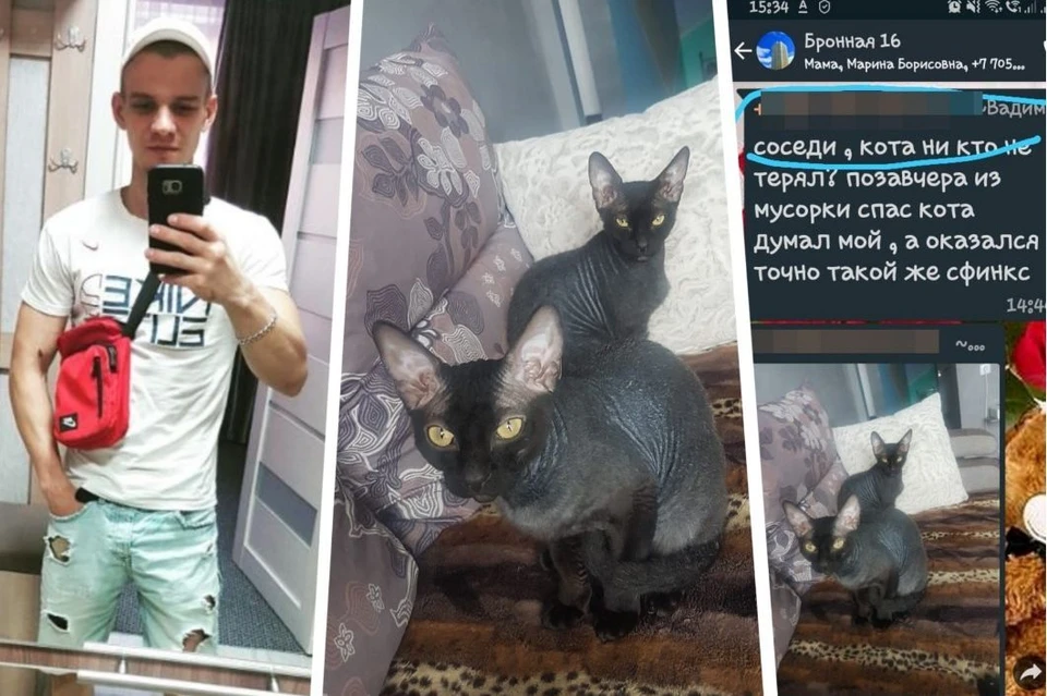 Вадим нашел в мусорке кота. Он был уверен, что это его Зевс, который сбежал из квартиры. Фото: предоставлено героем материала.