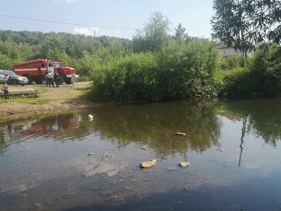 У реки оказалось илистое опасное дно. Фото: ГУ МЧС по Челябинской области