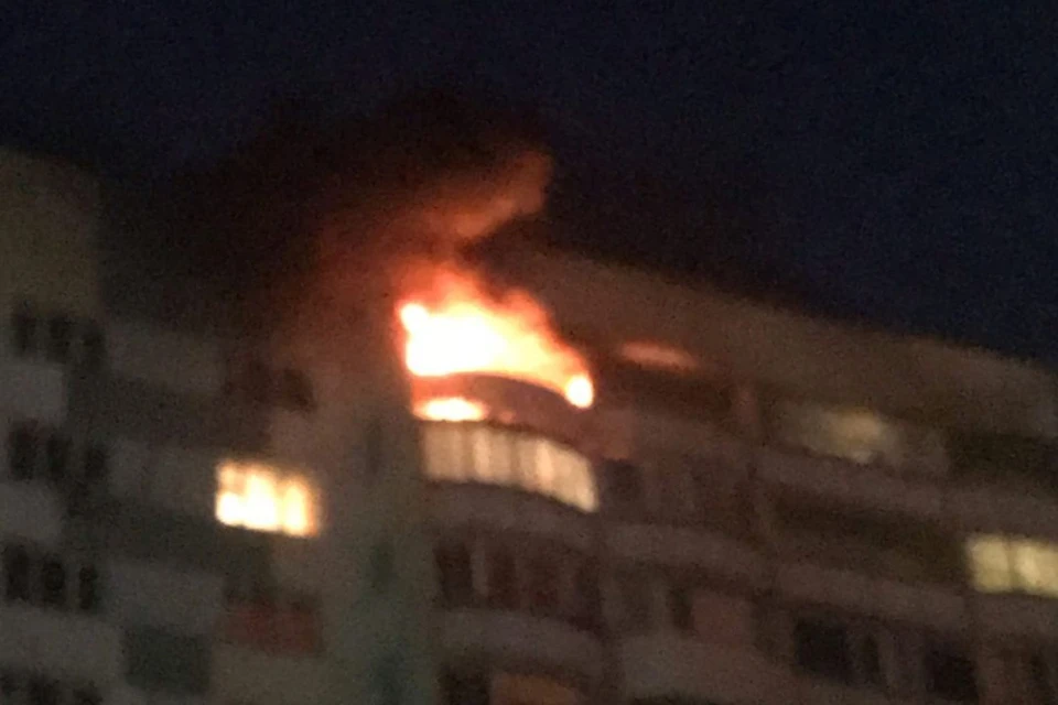 Посреди лета фейерверк стал причиной пожара. Фото: Павел Денисов.