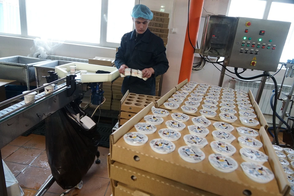 На Верхнепышминском молочном заводе производили продукцию под брендом «Здорово»