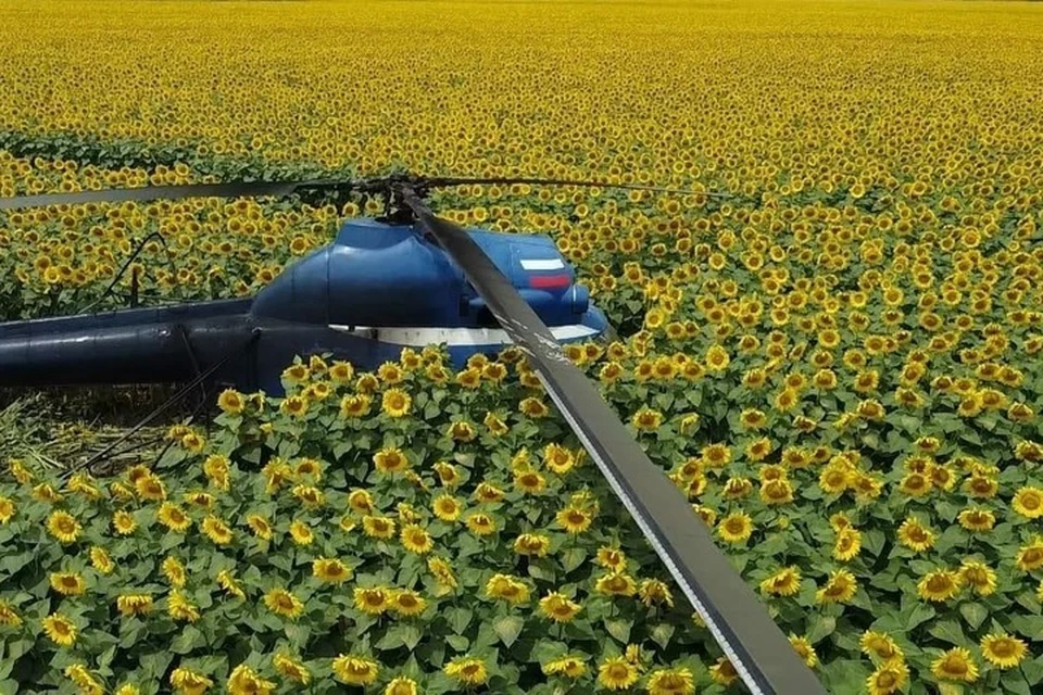 Фотографии разлетелись по социальным сетям. Источник: МЧС Кабардино-Балкарии