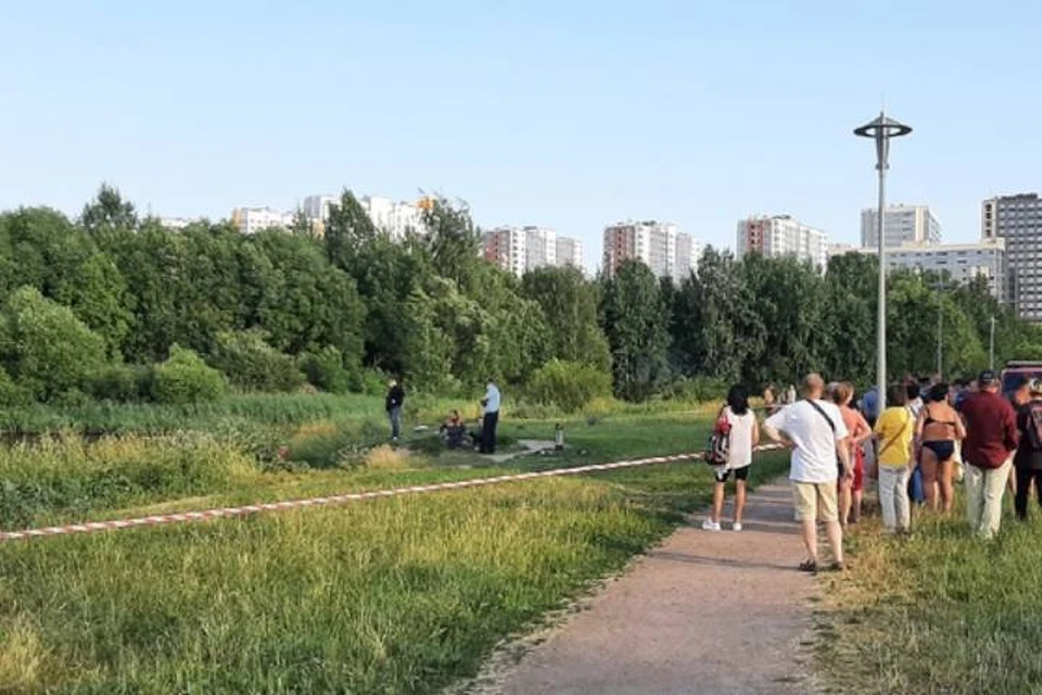 Тело ребенка извлекли из пруда в Пулковском парке