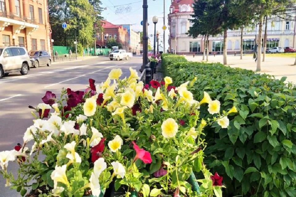 В середине июля синоптики ожидают в областном центре и в регионе погоду на 1-2 градуса ниже, чем в предыдущие годы. Фото Валерия Доронина, пресс-служба городской администрации